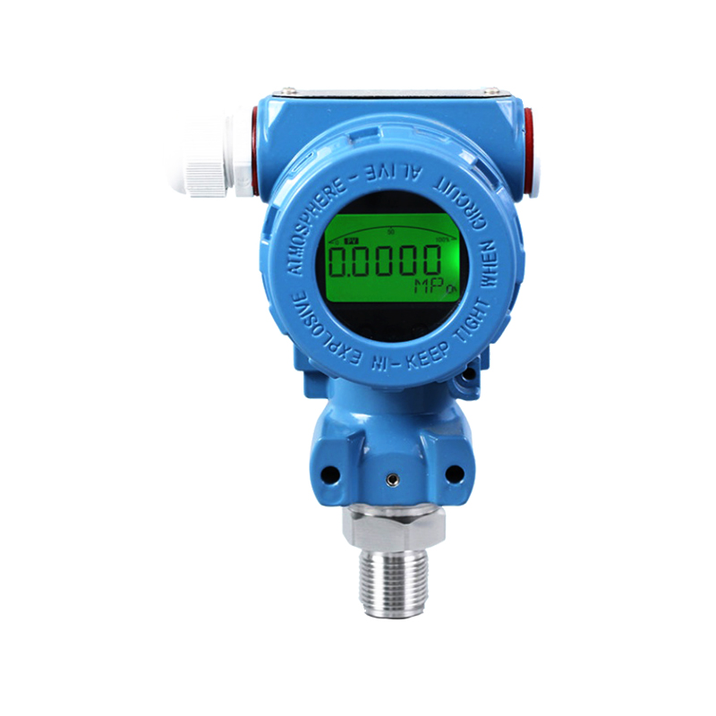 WP401A型數顯工業壓力變送器